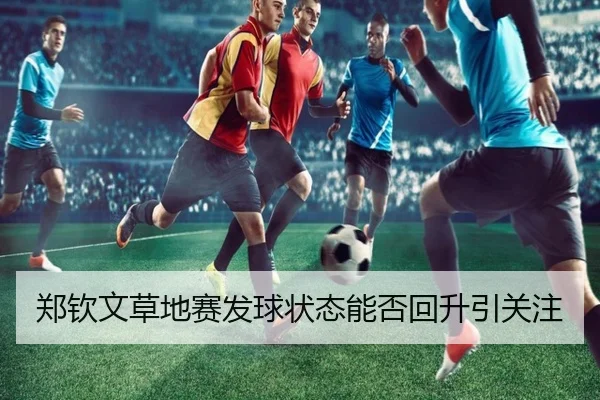 郑钦文草地赛发球状态能否回升引关注